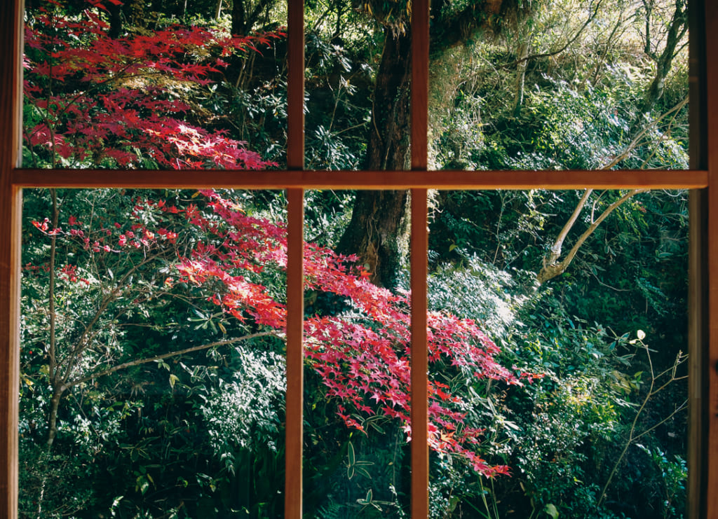 Depuis les fenêtres du temple reiganji