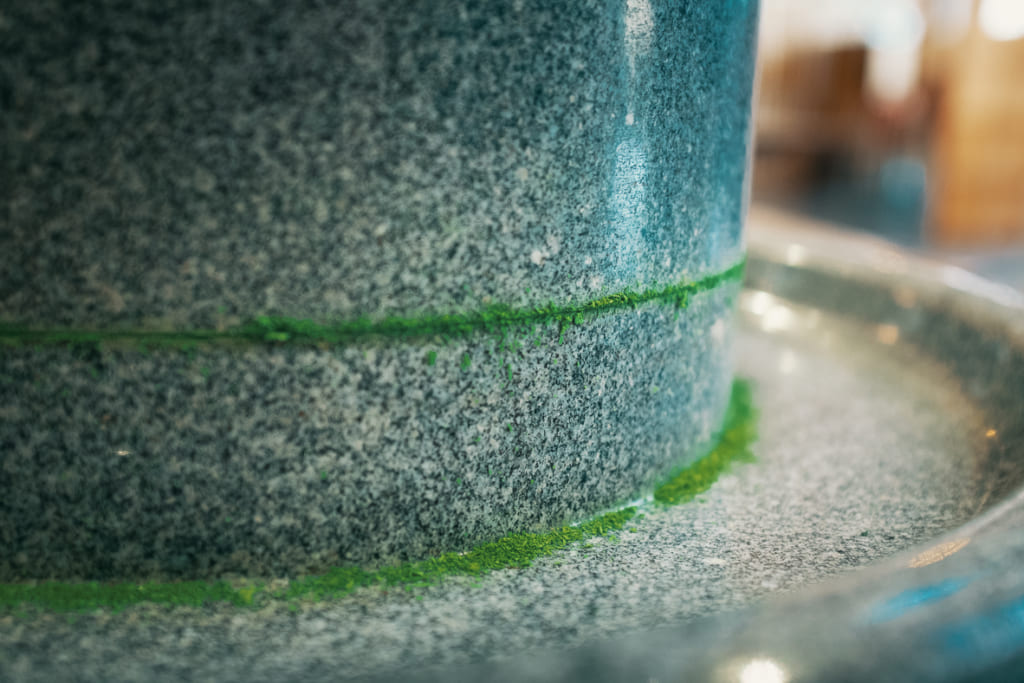 Thé matcha fraichement moulu