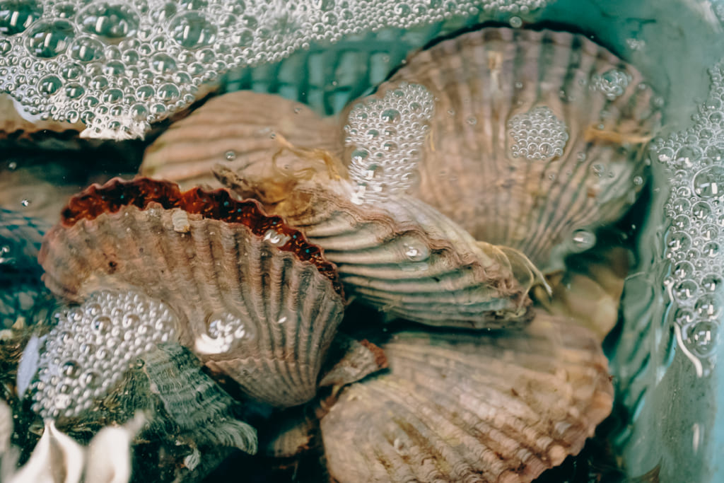 Coquilles saint-Jacques du restaurant Karatomari Ebisu