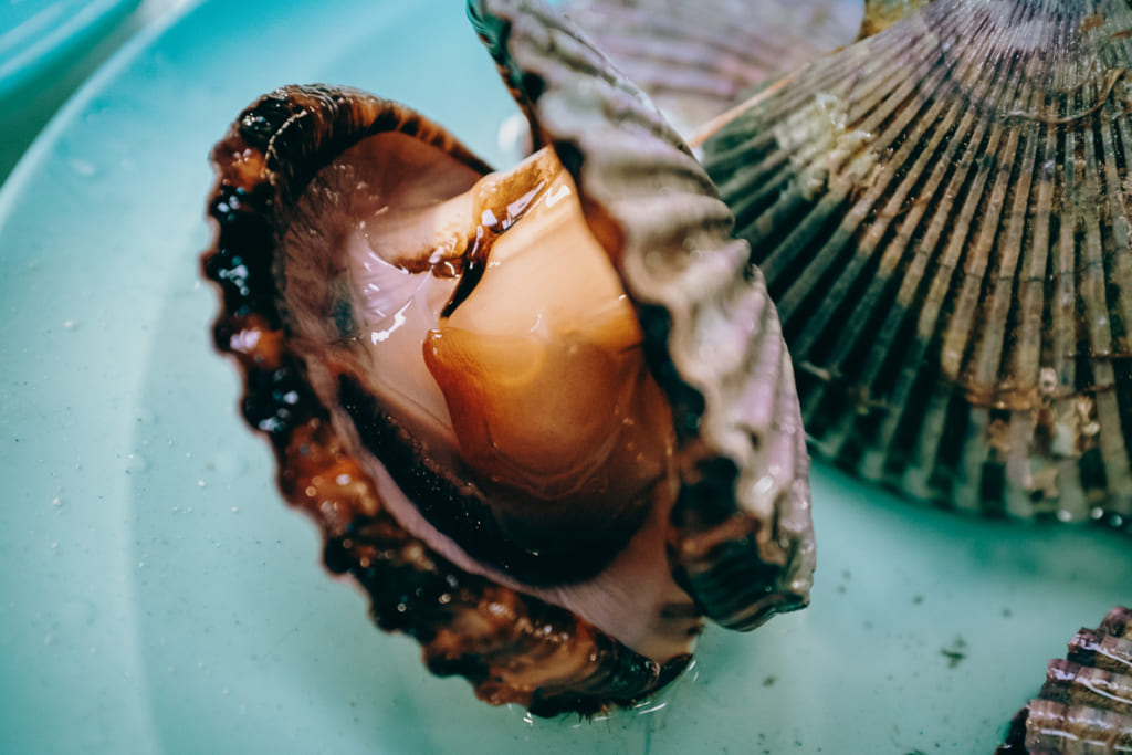 Autre coquillage du restaurant Karatomari Ebisu
