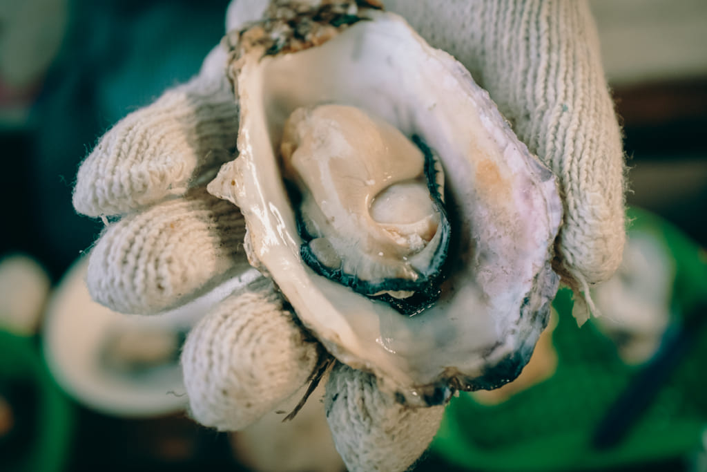 Huitre de Fukuoka braisée au restaurant Karatomari Ebisu