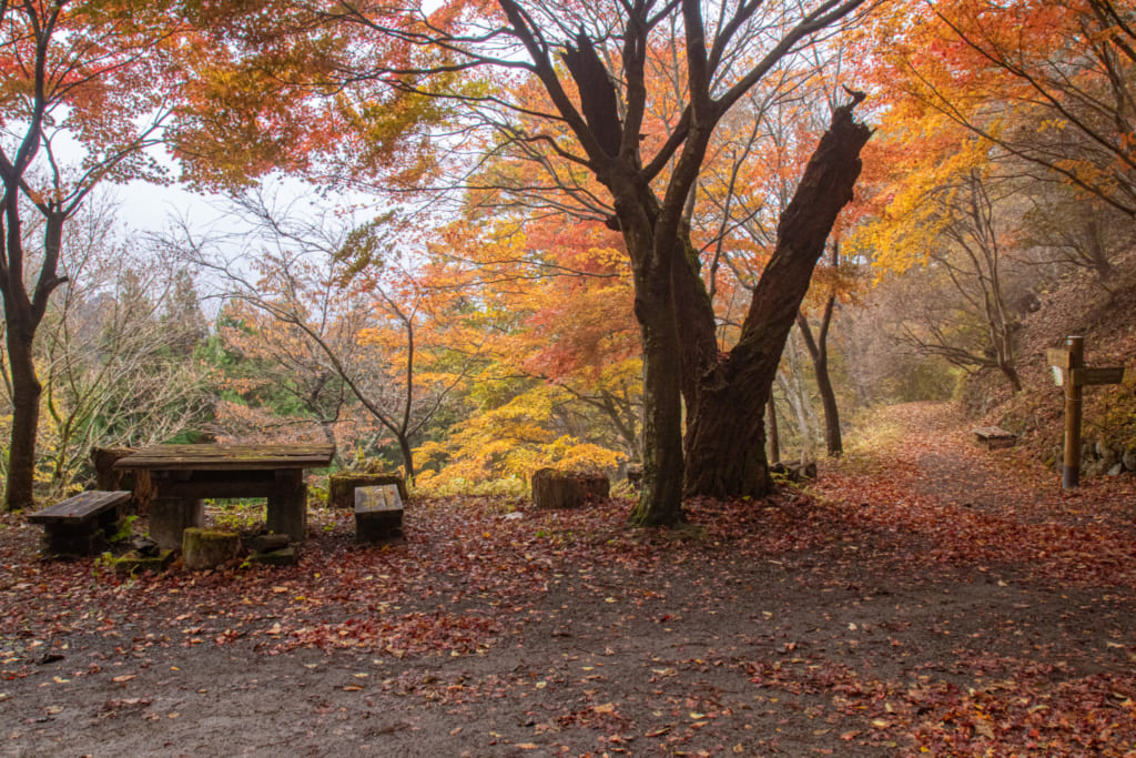 Tables et bancs en bord du chemin de randonnée du Mont Mitake