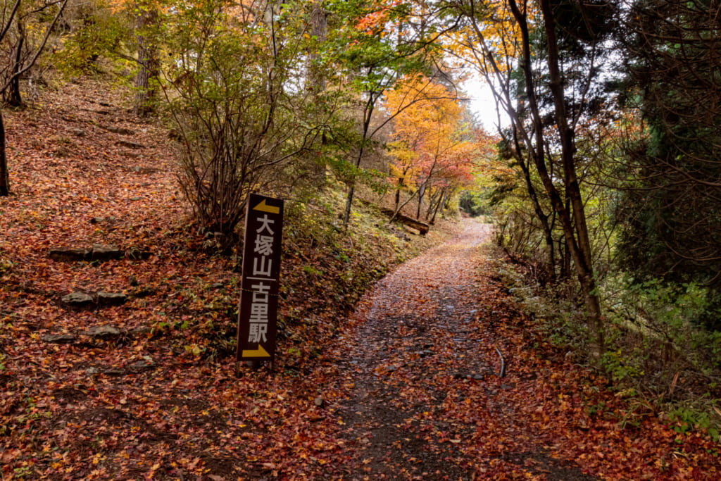 Chemins de randonnée du Mont Mitake recouvert de feuilles d'automne