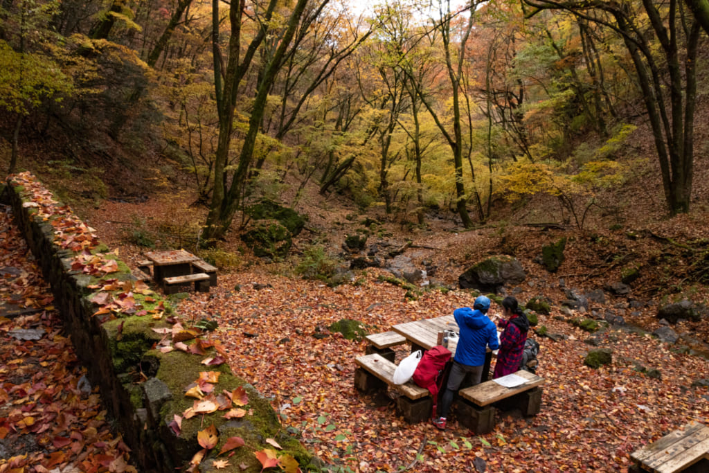 Mont Mitake : nature et spiritualité aux portes de Tokyo