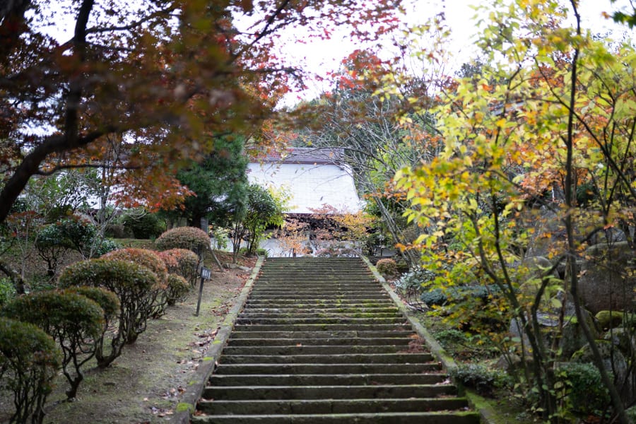 Le jardin japonais du temple Fusai-ji