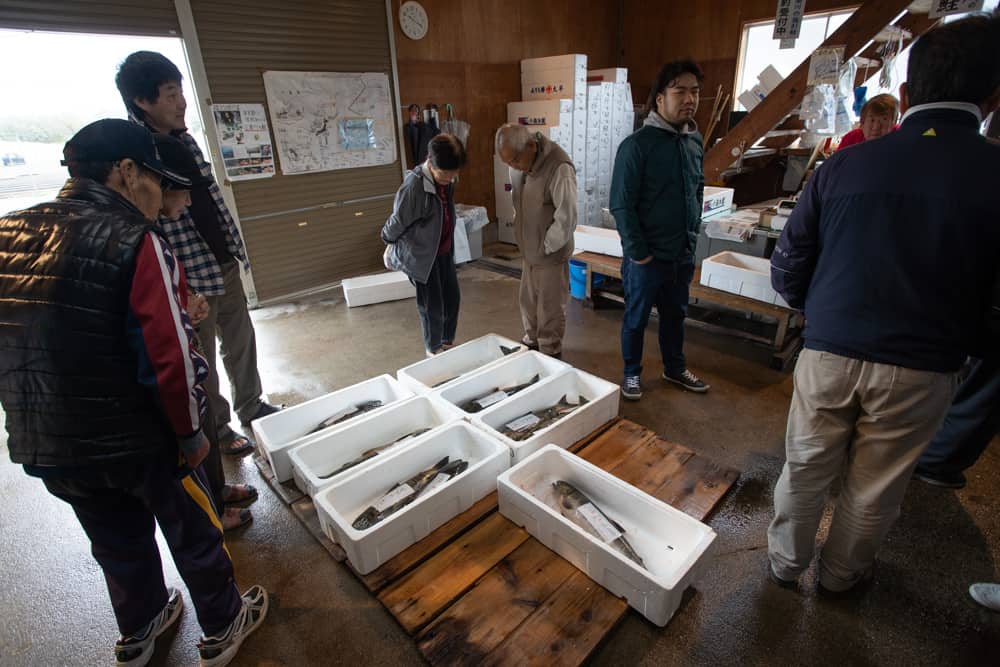 Des saumons tout juste pêchés dans une boutique près de la rivière Miomote à Murakami