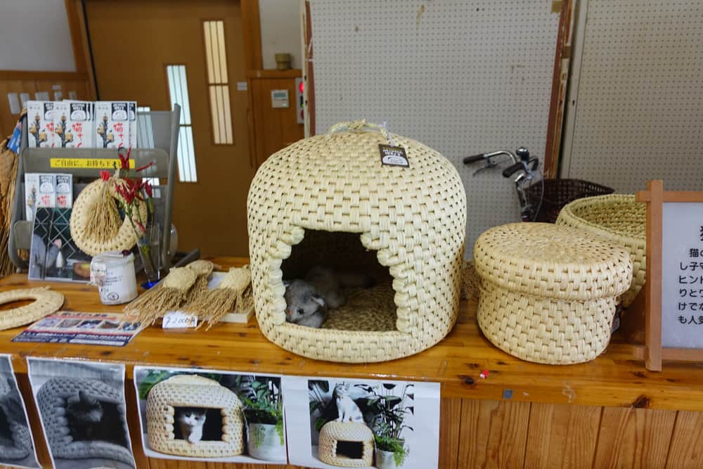 Maison à chats exposée au Sekikawa Machinoeki
