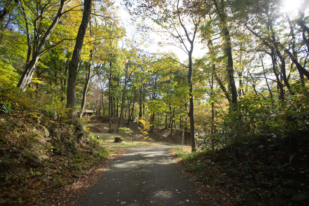 Chemin passant à travers bois aux alentours de Sekikawa