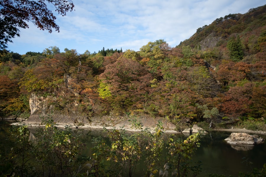 Vue sur la rivière et les forêts