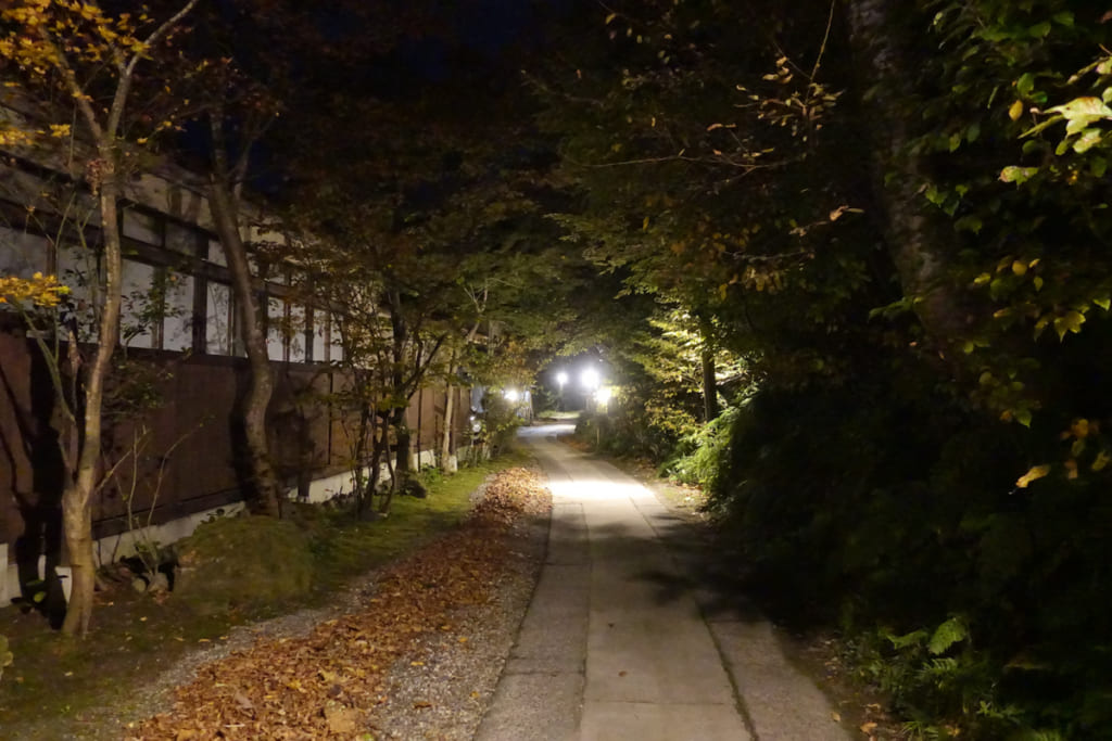 Les bâtiments de Takanosu Onsen de nuit