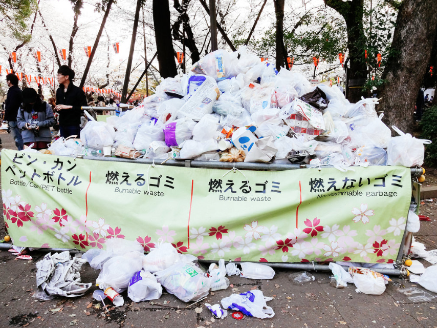 Sacs poubelles sur un site de hanami populaire