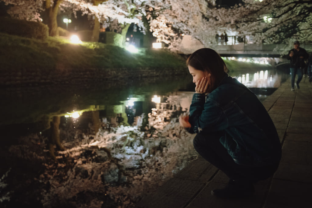 les cerisiers en fleur de toyama se reflètent sur les eaux de matsukawa river