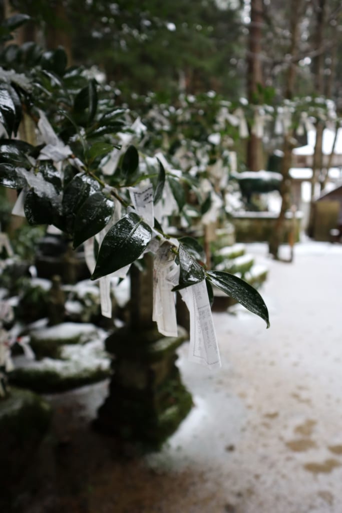 omikuji accrochés aux branches d'un arbre