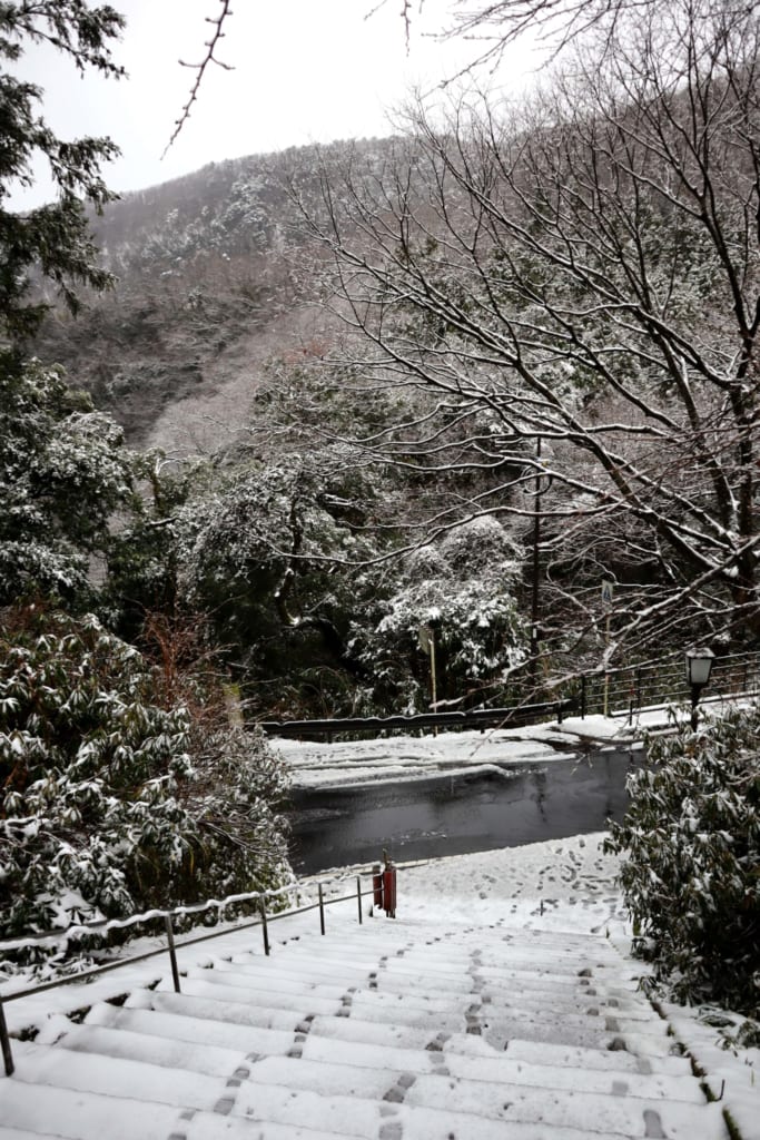 escaliers et arbres enneigés à Mitoku, dans la préfecture de Tottori