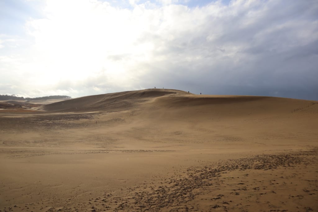 Les étendues de sable des dunes de Tottori