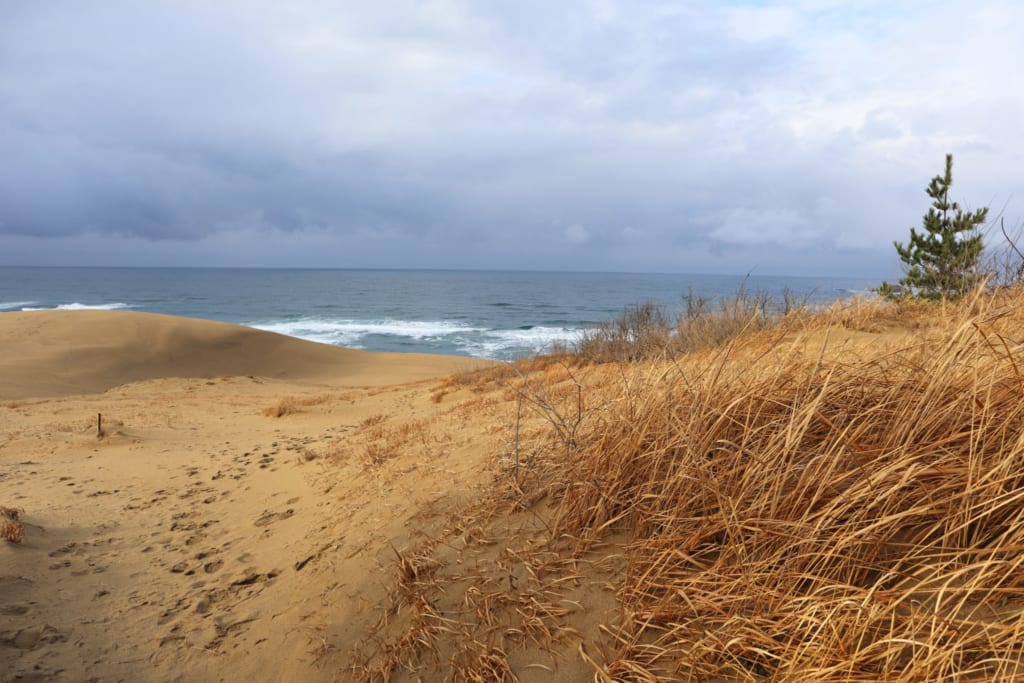 Mer et désert dans les dunes de tottori