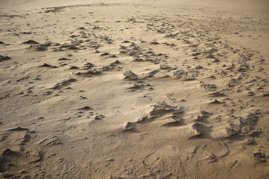 Le sable à la merci du vent dans les dunes de tottori