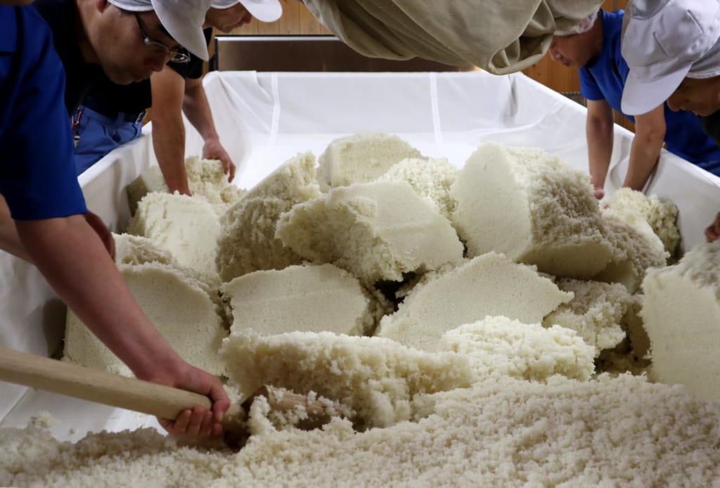 fabrication du koji dans la brasserie de saké kasumi tsuru