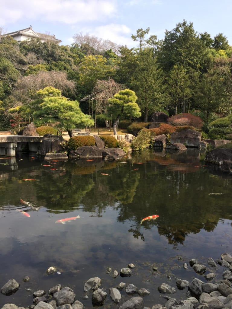 Bassin plein de carpes koï dans le parc qui entoure le châteeau de Himeji