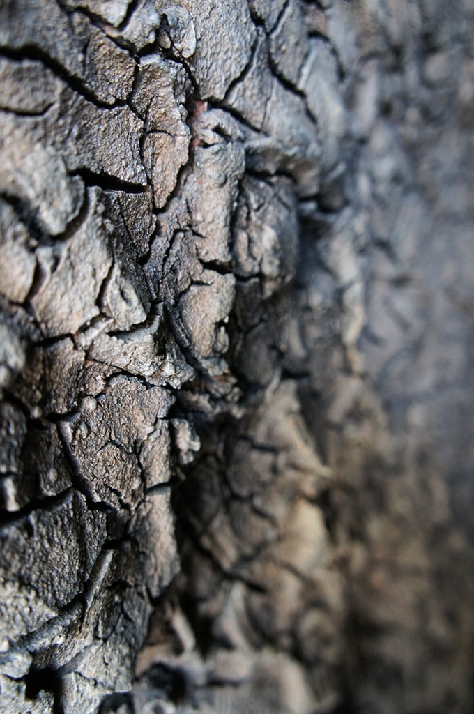 Détail de l'intérieur du four grimpant de Shigaraki