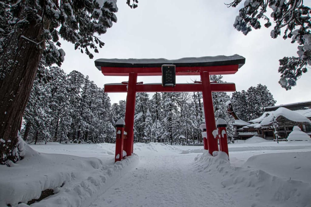 Torii majestueux du Mont Haguro, à Tsuruoka