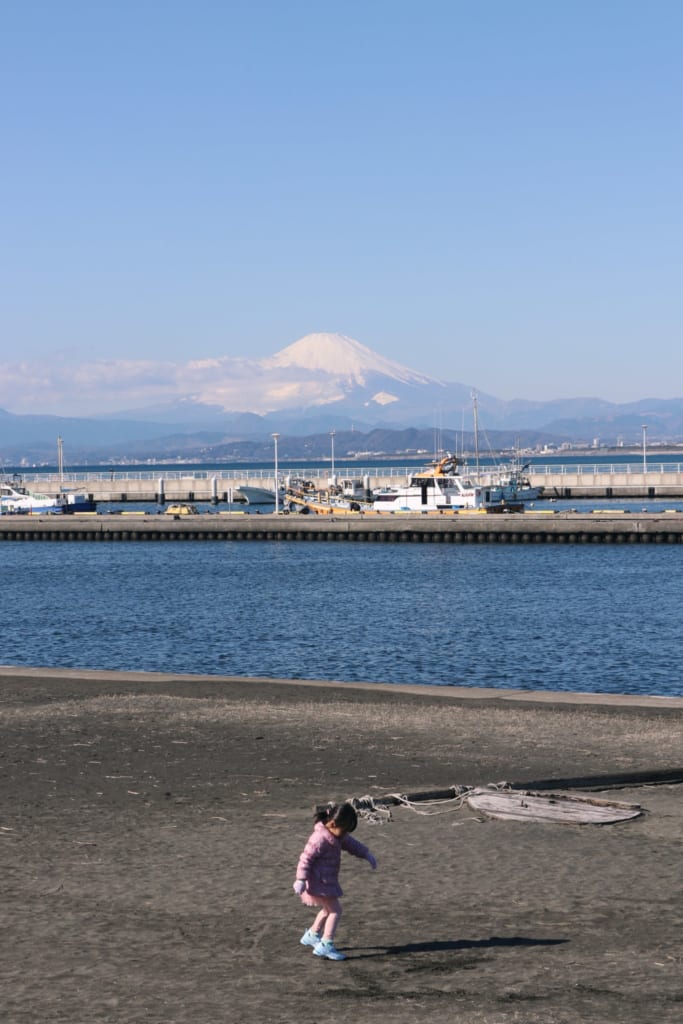 le mont fuji depuis les côtes de l'île d'enoshima