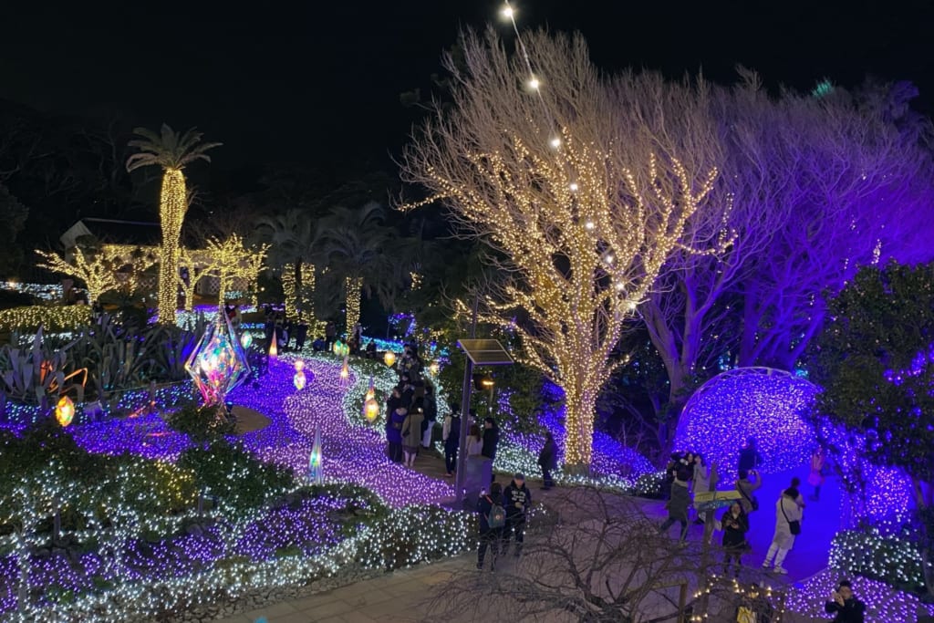 les illuminations d'enoshima durant le shonan no hoseki vu depuis la terrasse d'observation