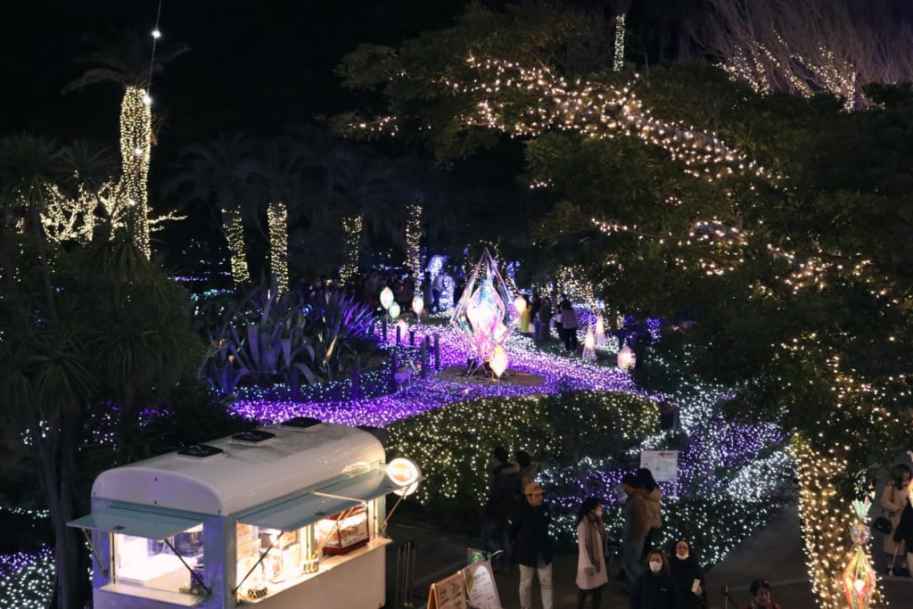 les illuminations du jardin samuel cocking