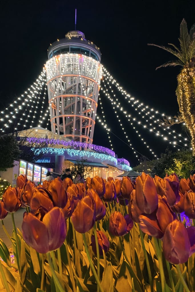 l'observatoire d'enoshima encadré par des tulipes et les illuminations du shonan no hoseki