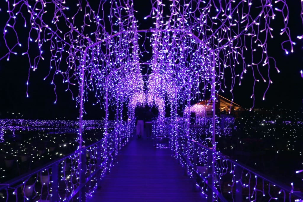 un autre tunel de led au jardin samuel cocking durant le shonan no hoseki