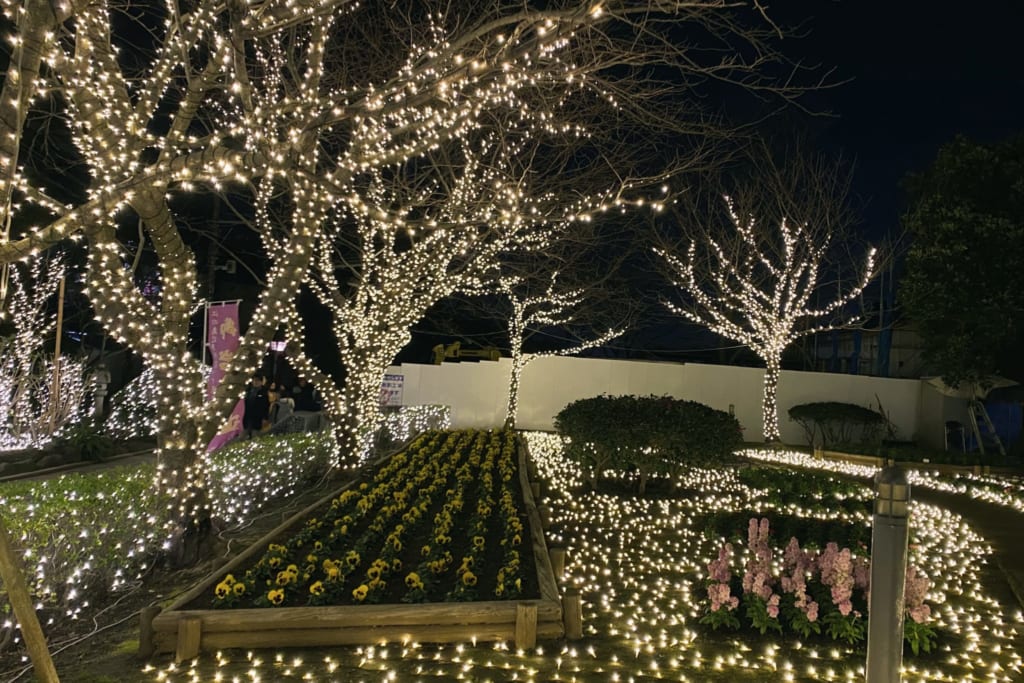 même en dehors du jardin samuel cocking les arbres sont illuminés