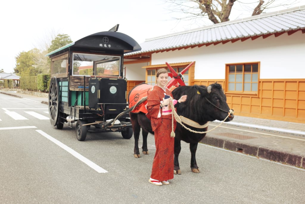 promenade dans les rues d'izumi avec un char à boeuf