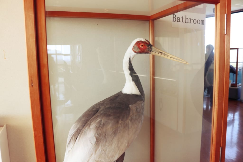 L'exposition du centre d'Observation