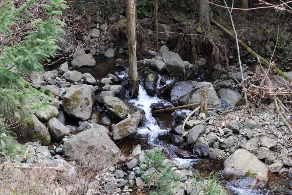 ruisseau croisé lors de notre randonnée à toon