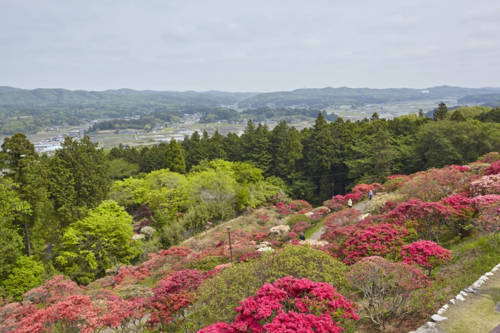 La vue depuis le haut d'un des plus beaux jardins japonais du japon