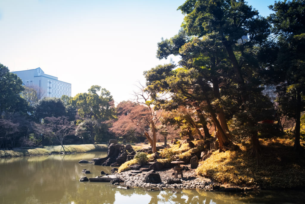 Un jardin japonais en plein centre ville de Tokyo
