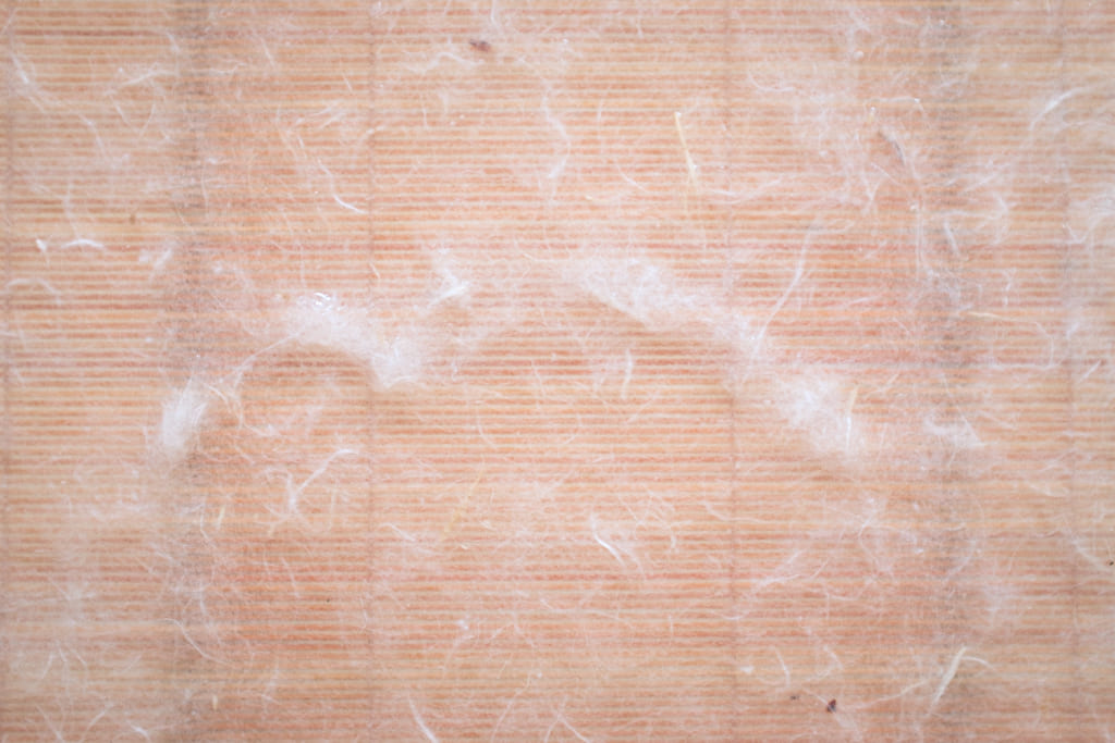 la fibre de papier lors de la fabrication du papier traditionnel japonais dit washi