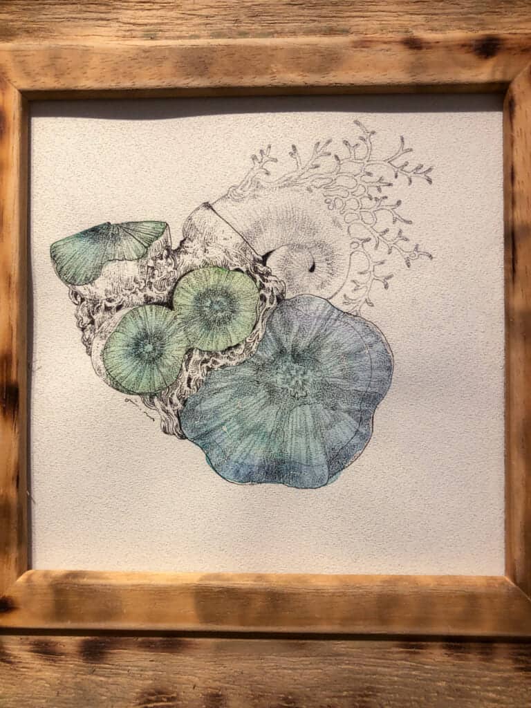 illustration de Airi Maeyama exposée dans une galerie d'osaka