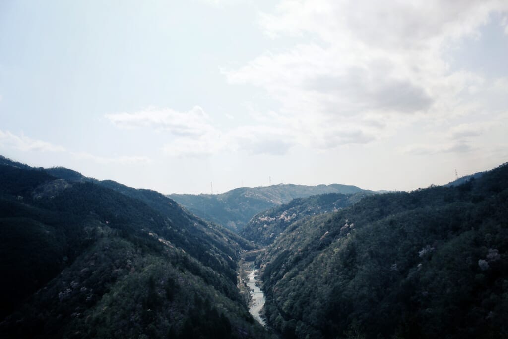 Les gorges d'arashiyama à Kyoto