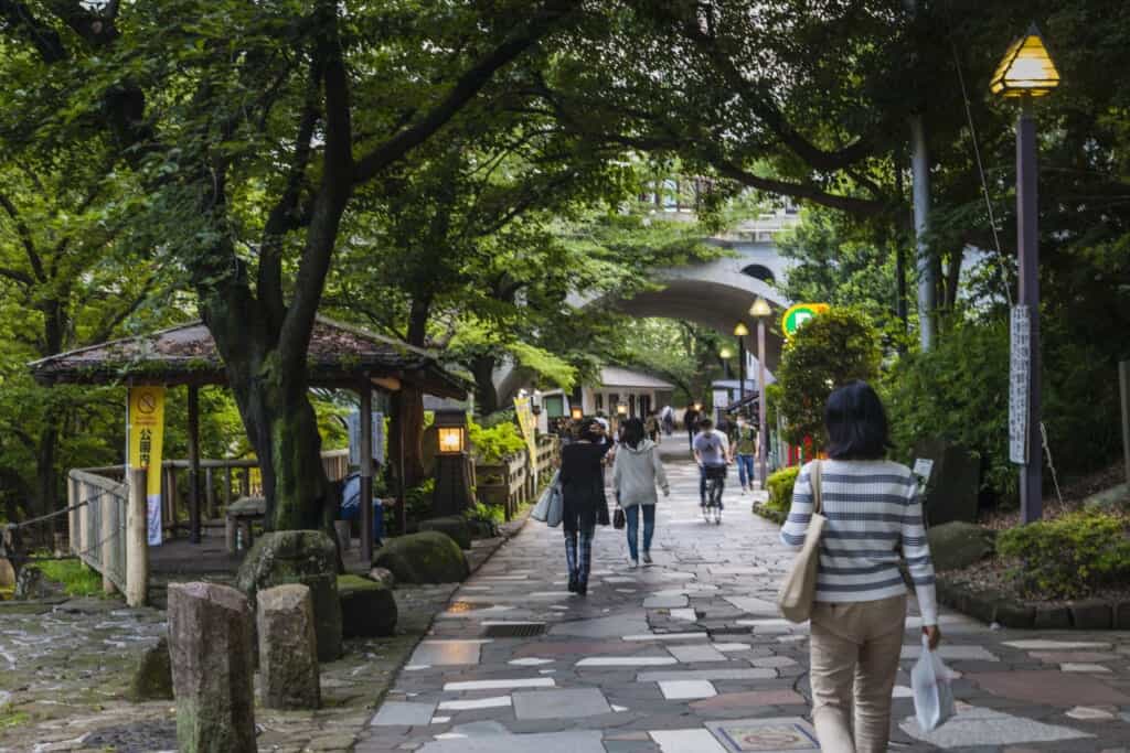 Ruelle du parc Otonashi Shinsui