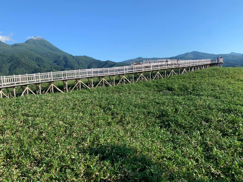 sentier en bois aménagé dans un parc national japonais