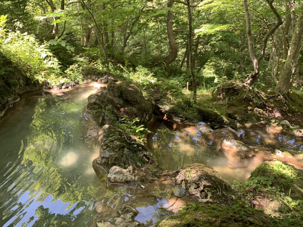 source d'eau thermale naturelle au Japon