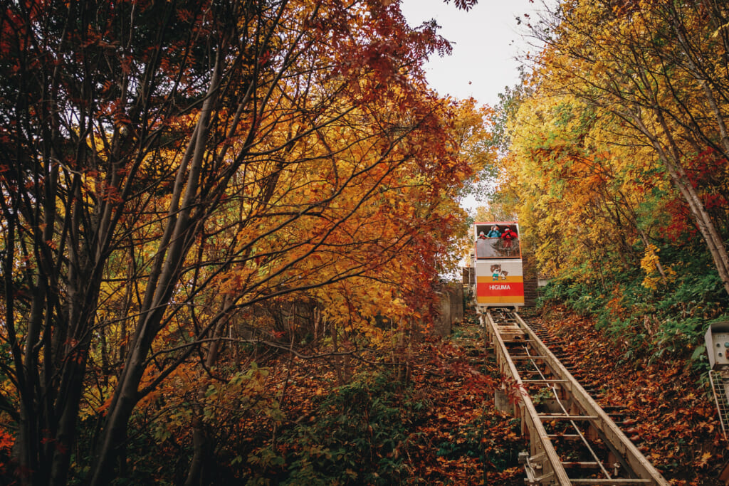 téléphérique montant parmi des arbres durant l'automne au japon