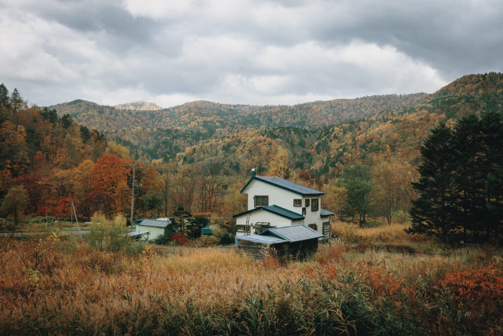 L'automne japonais à Hokkaido