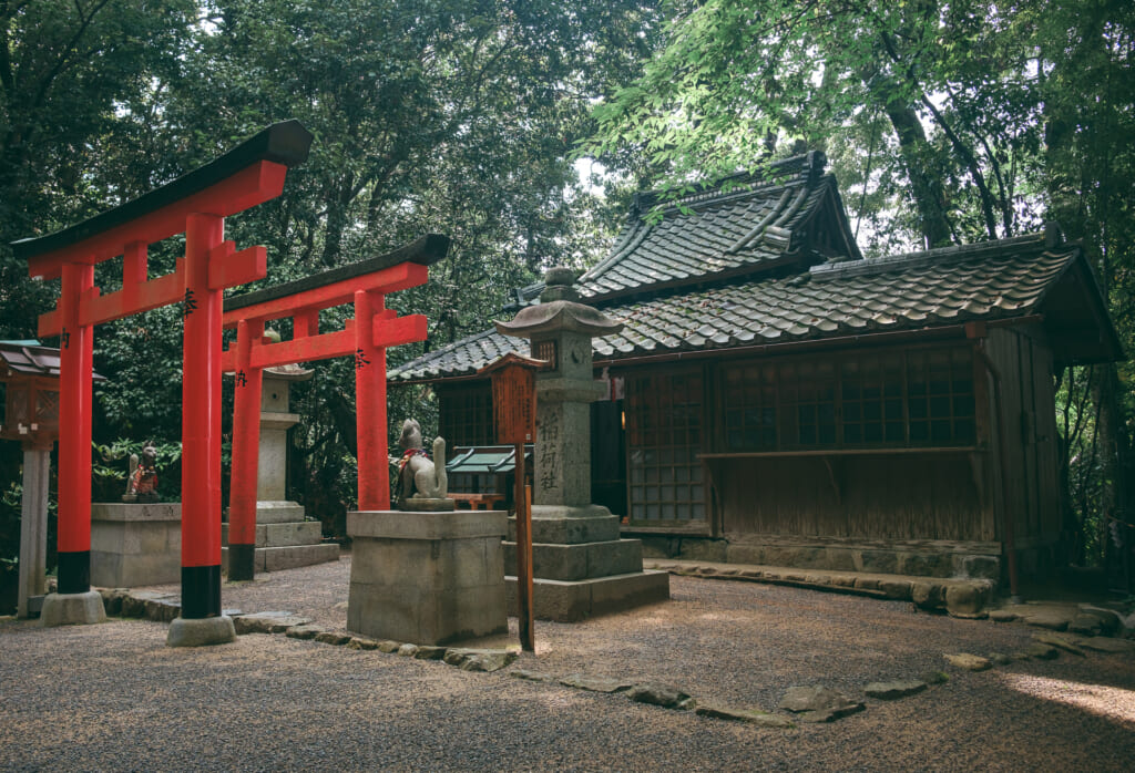 torii vermillons à l'entrée d'un sanctuaire au Japon