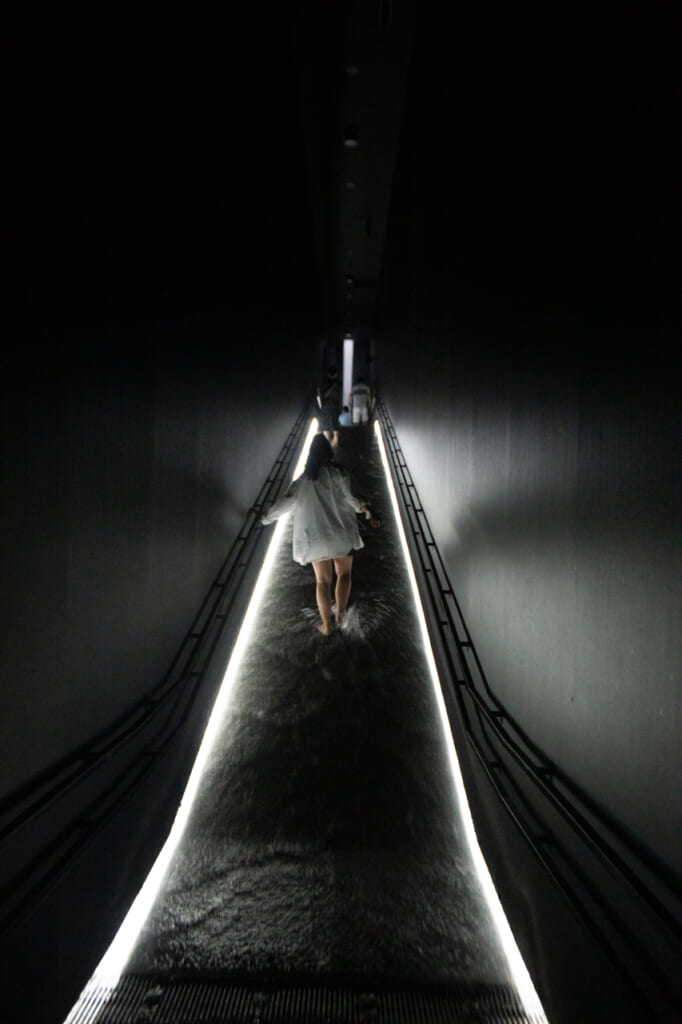 escalader la cascade de teamLab Planets