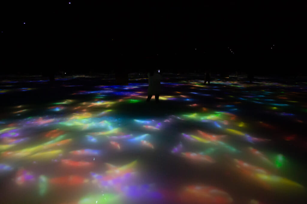 carpes digitales qui nagent dans le bassin d'une exposition de teamLab Planets à Tokyo