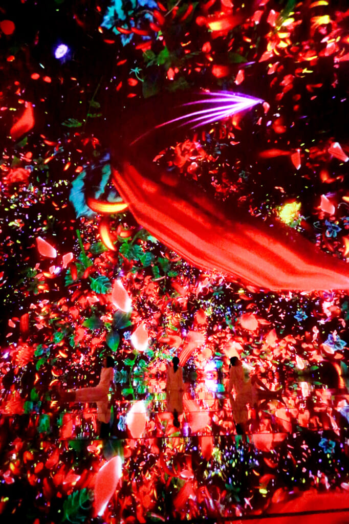 fleurs digitales rouges