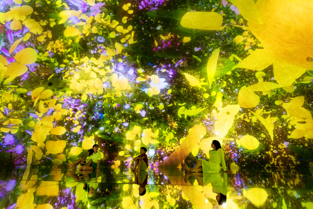 fleurs digitales jaunes