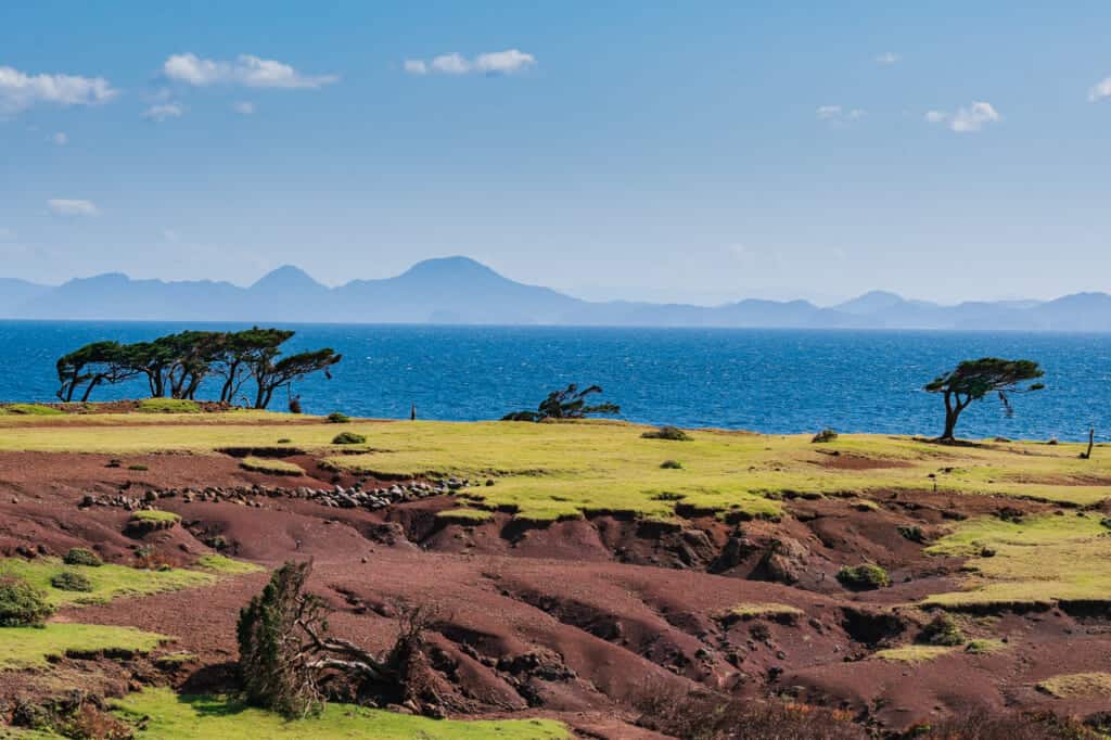 la savane de l'île de Nozaki au Japon